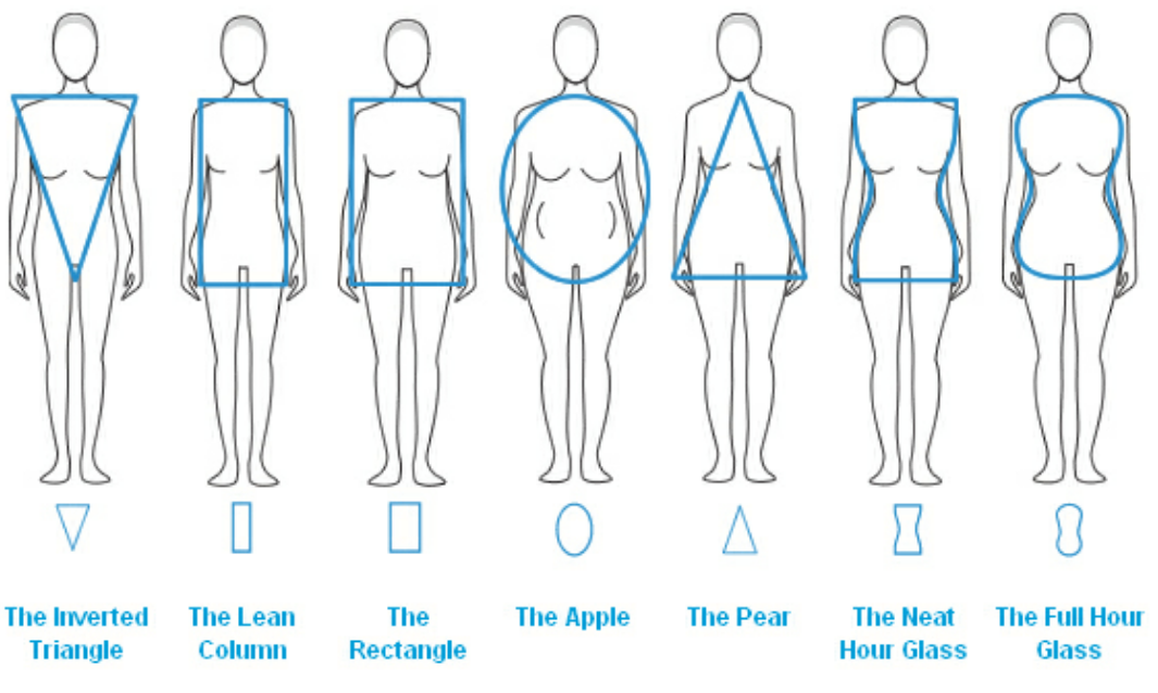 4 body shapes for women